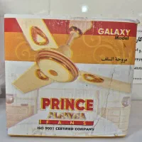 شادگان روستایی سالمی