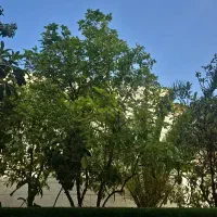 زمین-با-پروانه-5-واحد