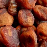 زرد آلو پیوندی آفتابی