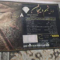 قالی دوازده متری|فرش|بجنورد, |دیوار