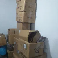 کارتن پست