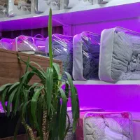 کاور آماده پارچه ای|مبلمان خانگی و میز عسلی|قم, زنبیل آباد|دیوار