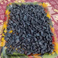 کشمش ممیز تازه و درجه یک