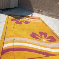 دو عدد قالی گلیم فرش