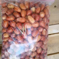 آجیل عمده پسته خشک هسته زردالو سنجه