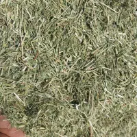 یونجه  علوفه