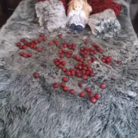 رو تختی فانتزی|سرویس روتختی|رویان, |دیوار