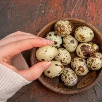 تخم بلدرچین تازه خانگی ارگانیک|خوردنی و آشامیدنی|اصفهان, ولدان|دیوار