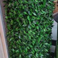 فنس برگی .فنس چمنی . فنس چمنی استوک .یووی دار|خدمات باغبانی و درختکاری|خمینی‌شهر, |دیوار