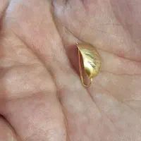 گشواره گم شده