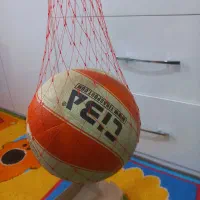 کتونی سالنی و توپ والیبال|تجهیزات ورزشی|سنگر, |دیوار