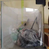 آکواریوم معاوضه با کفتر