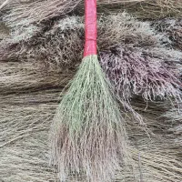 جاروسیخی (شهرداری)