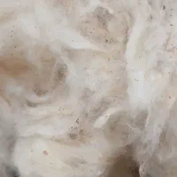 الیاف پنبه ایی