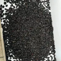 مویز افغان|عمده‌فروشی|مشهد, کارمندان دوم|دیوار