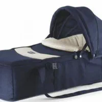 سال حمل چیکو