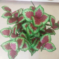 انواع گل دست ساز قابل شستشو|گل مصنوعی|قروه, |دیوار