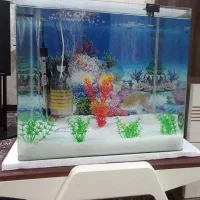 آکواریوم ۴۰*۶۰ خونگی وشیک