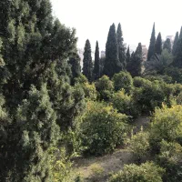 تک واحد 155 متری / چهل مقام شمالی