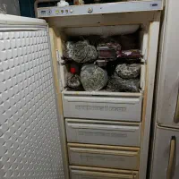 یک عدد یخچال فریزر و یک عدد فریزر|یخچال و فریزر|کلاردشت, |دیوار