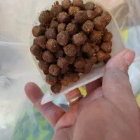 غذا خشک حمایتی سگ