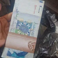 پول در حد نو برای شباش