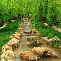 راهنمایی در مورد حوصله