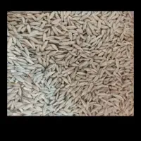 جو محلی ابی