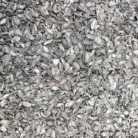 تولیداجرتی ذغال کربن پسته