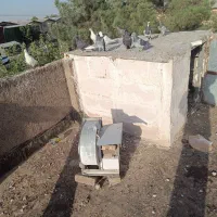 کبوتر