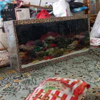 آکواریوم ماهی