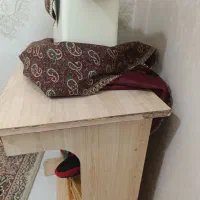 پیدا شده