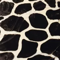 پتو مخمل خارجی  دو نفره