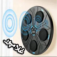 کیسه بوکس موزیکال اورجینال|تجهیزات ورزشی|شیراز, زند|دیوار