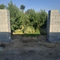 ۲۵۰مترباغچه سنقرآبادخ بنفشه تهاترباماشین اقساط