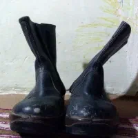 ی جفت نیم چکامه ایمنی