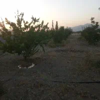 باغ شهری بخش سیدان