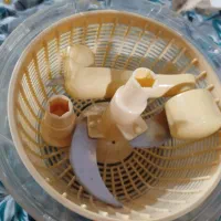 سبزی خورد کن دستی|خردکن، آسیاب، غذاساز|مشهد, رده|دیوار