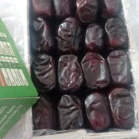 فروش عمده خرمای مضافتی