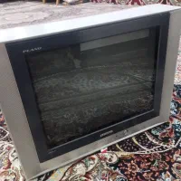 تلویزیون ۲۱اینچ|تلویزیون و پروژکتور|شوشتر, |دیوار