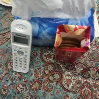 سرمایه دار برا راه اندازی مشاغل خانگی