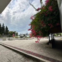 اجاره یا مشارکت مغازه ۵۰متر نزدیک تله کابین