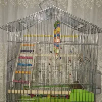 قفس و سرلاک