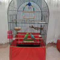 قفس پرنده بزرگ سالم نو