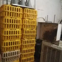 وسایل مرغ فروشی