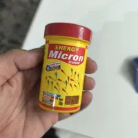 فیلتر اسفنجی در حد|ماهی|قم, پردیسان|دیوار