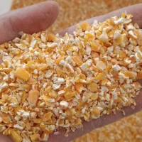 ذرت|عمده‌فروشی|مشهد, امین آباد|دیوار