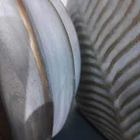 همراه و همکار خانم سرمایه دار برای راه اندازی کار