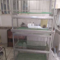 قفس کفتری و مرغی ۴۵در ۱متر ۴طبقه