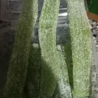 پاستیل خارجی(ترکیه ای) آب‌نبات تایلندی تعداد محدود|خوردنی و آشامیدنی|شیراز, دشت چنار|دیوار